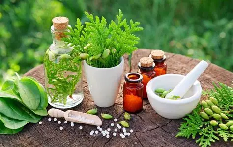 Homeopatia